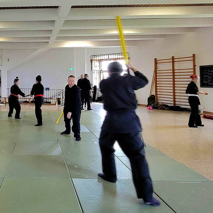 Training mit realitischer Intensität und Geschwindigkeit softwaffen-action